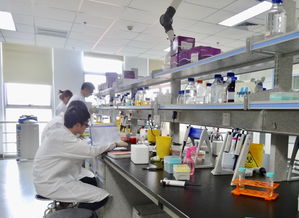 成都高新區(qū)力促生物科技創(chuàng)新實現 并跑 和 領跑